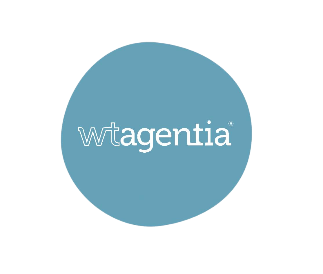 The tailwind astro theme